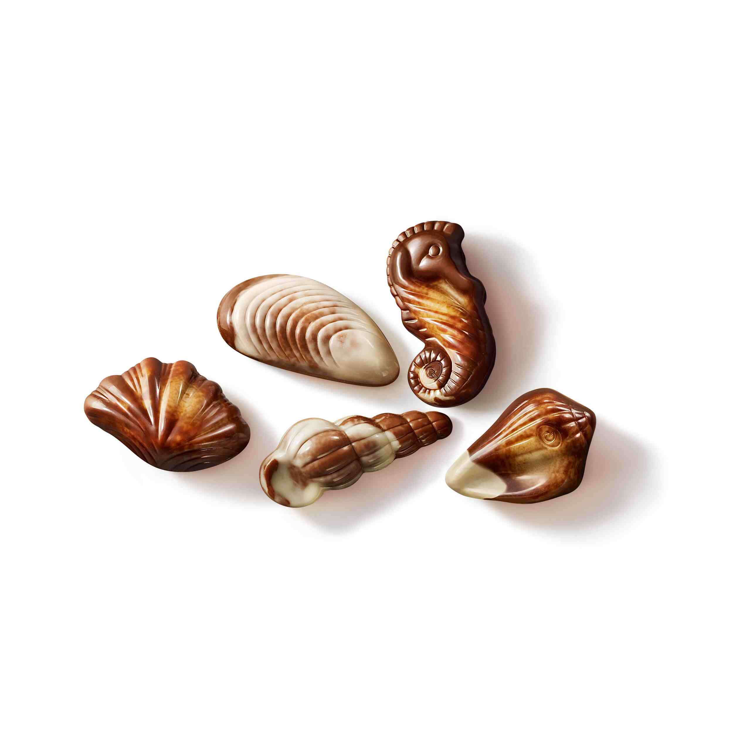Guylian Meeresfrüchte Nuss-Nougat 65 g-Packung