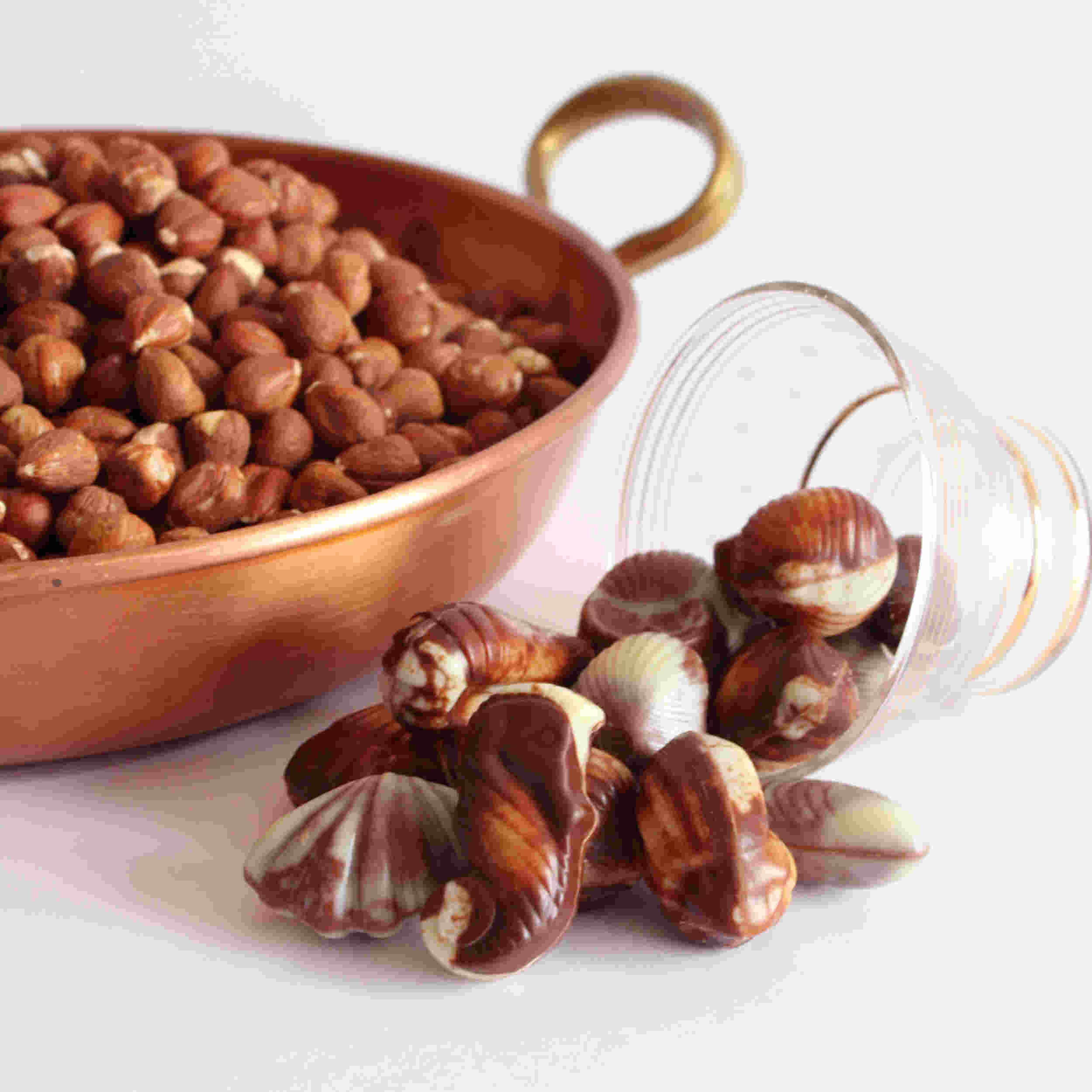 Guylian Meeresfrüchte Nuss-Nougat 65 g-Packung