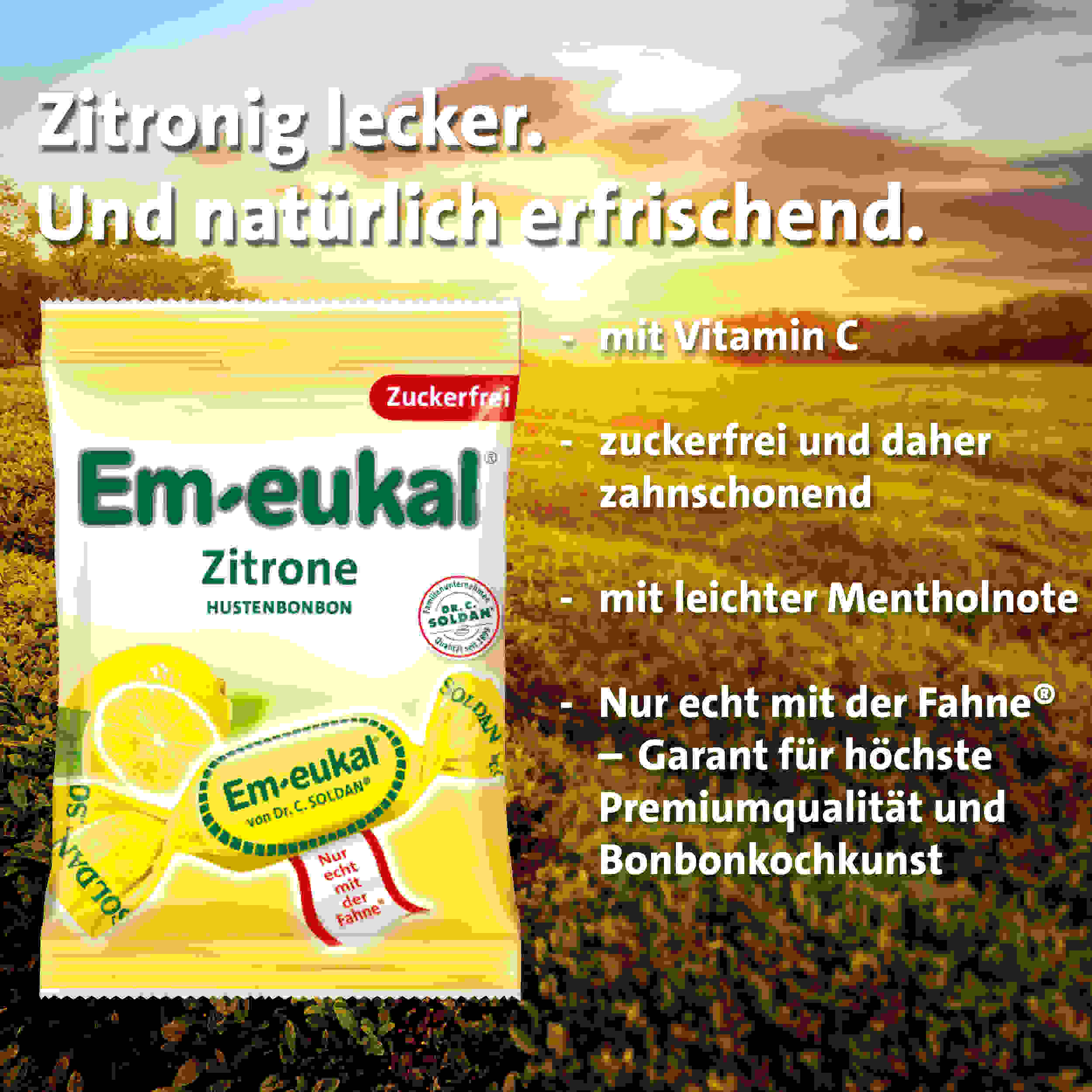 Em-eukal Zitrone zfr. 75 g