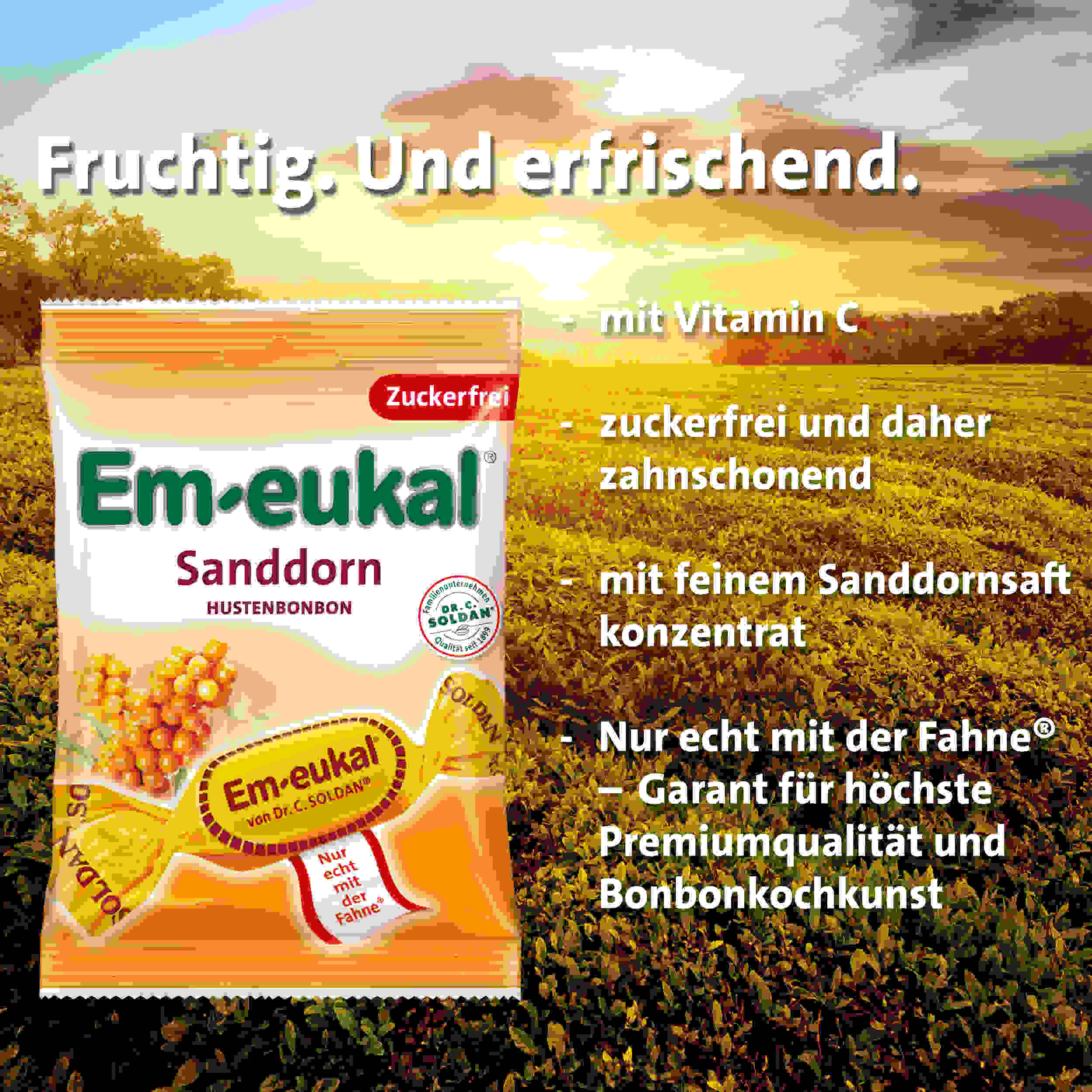Em-eukal Sanddorn zfr. 75 g