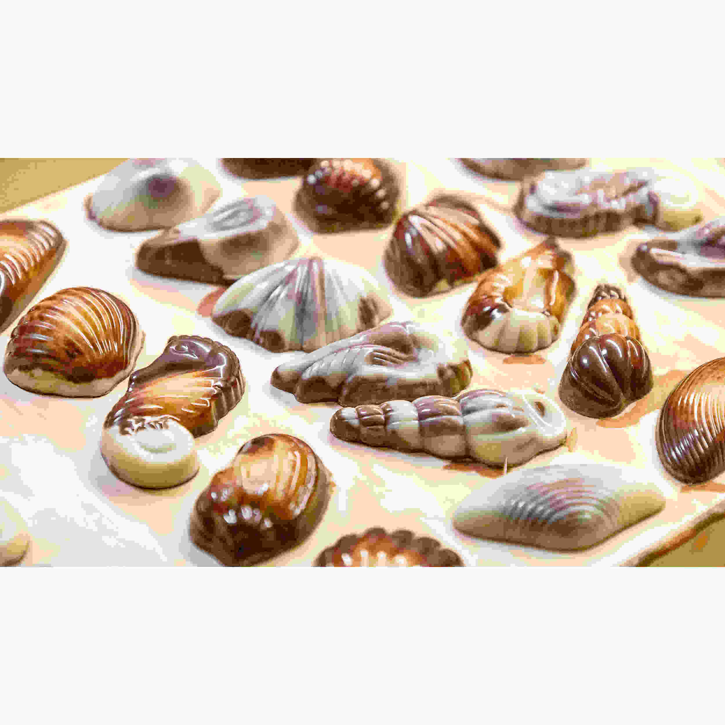 Guylian Meeresfrüchte Nuss-Nougat 65 g-Packung