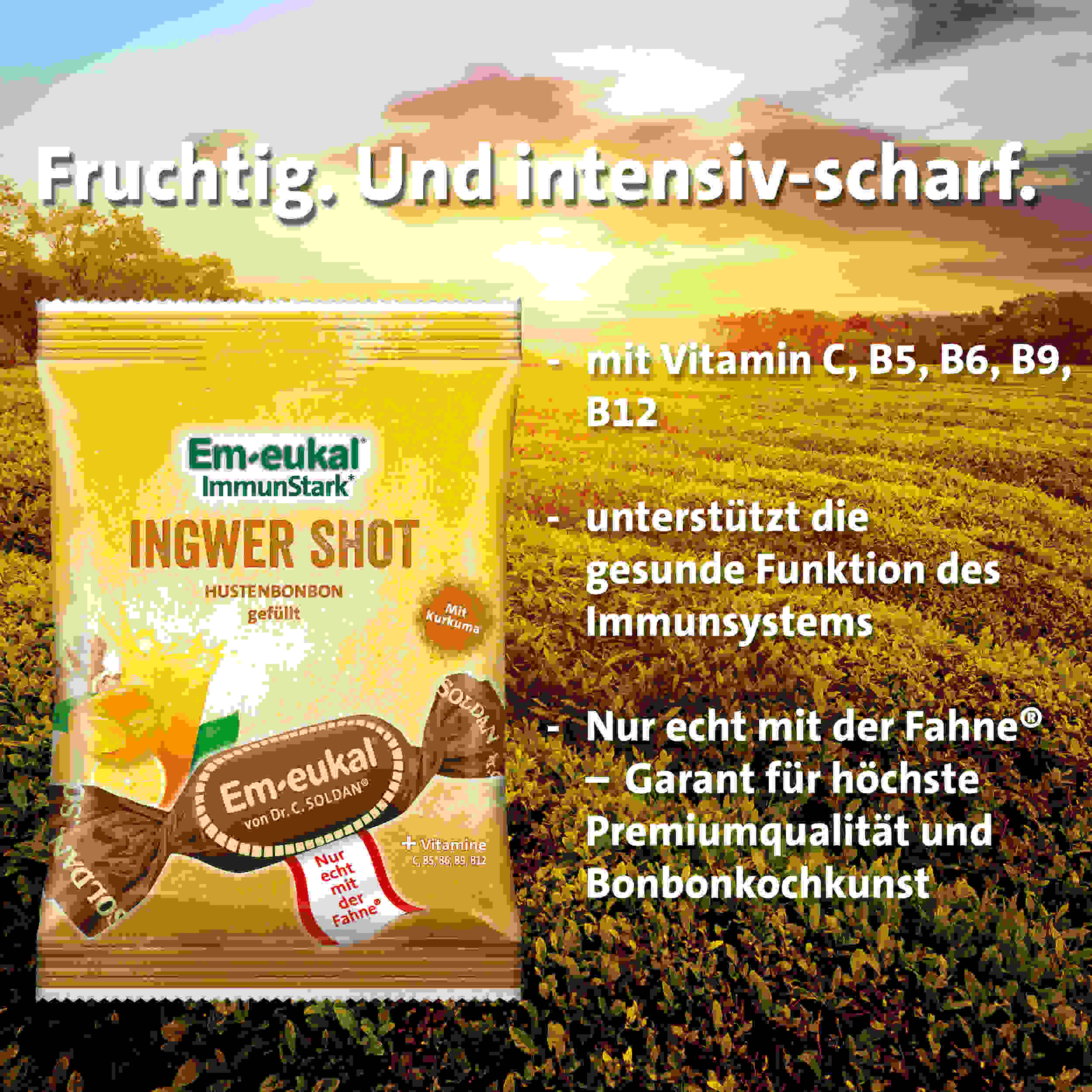Em-eukal ImmunStark Ingwer-Shot gefüllt zh. 75 g